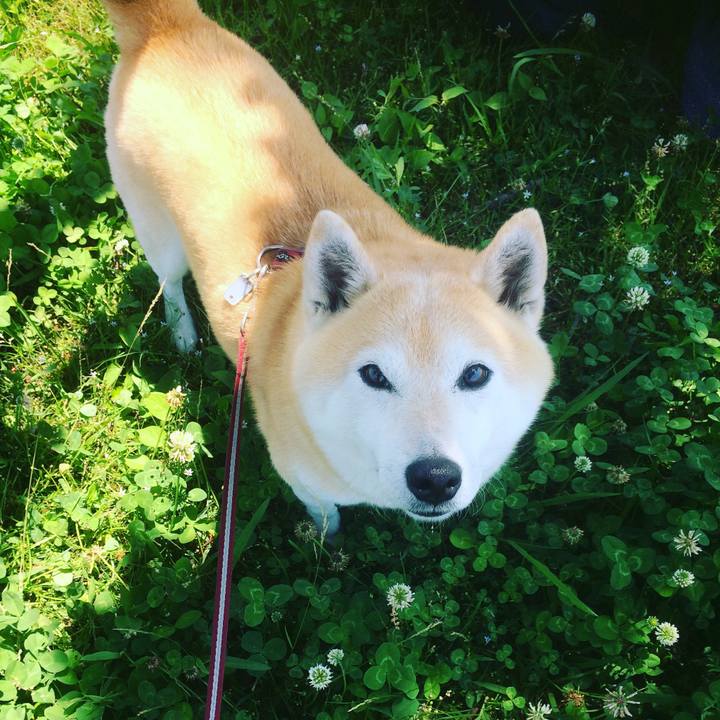 19d5c102 5e75 432b ab93 9c62af8c7f7b 1557641053172