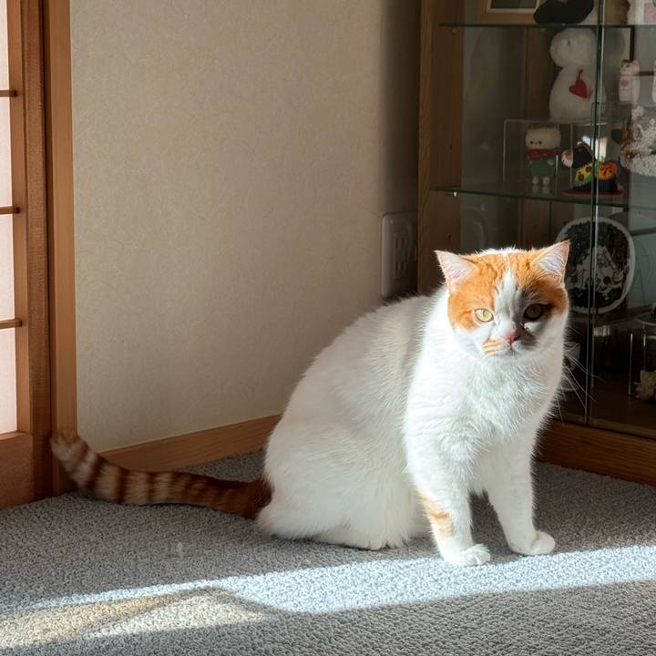 19d5d92e 371f 4842 80b4 0f508a5ebafa 1770605110741