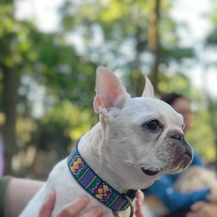 19d5eb19 7cfd 4454 8fd3 e7577446af1d 1535861222072