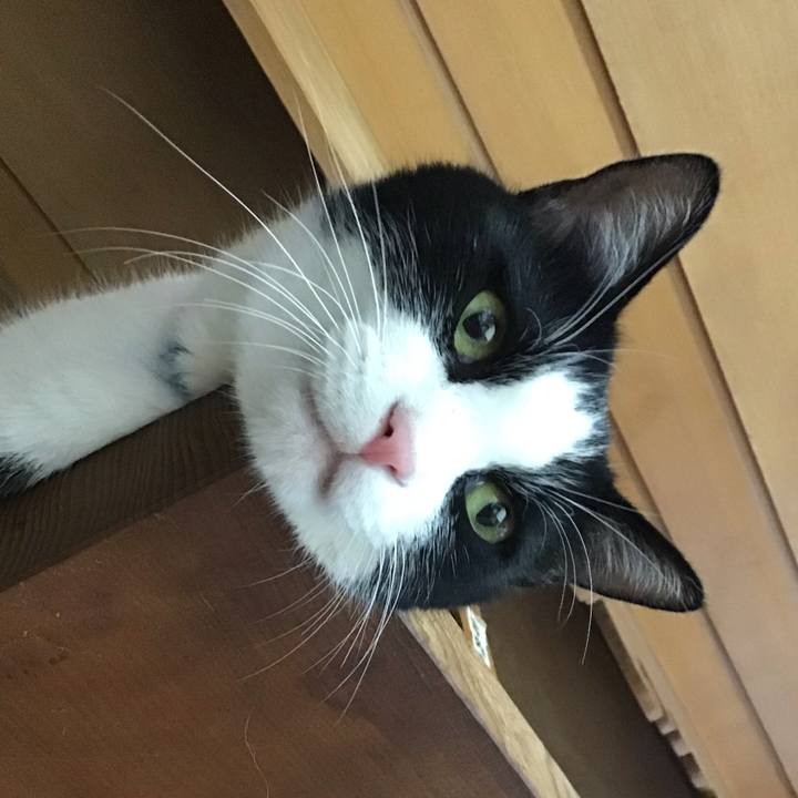 19d5f016 3ac0 46ae 9a28 d97bc043df33 1753691739154