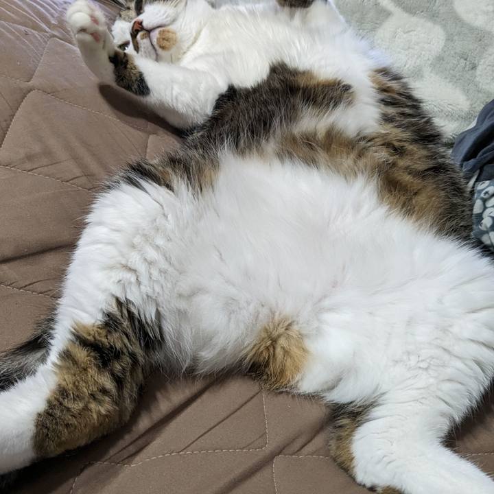 19d60ed4 c691 4324 b66c db7d0019639a 1718060985442