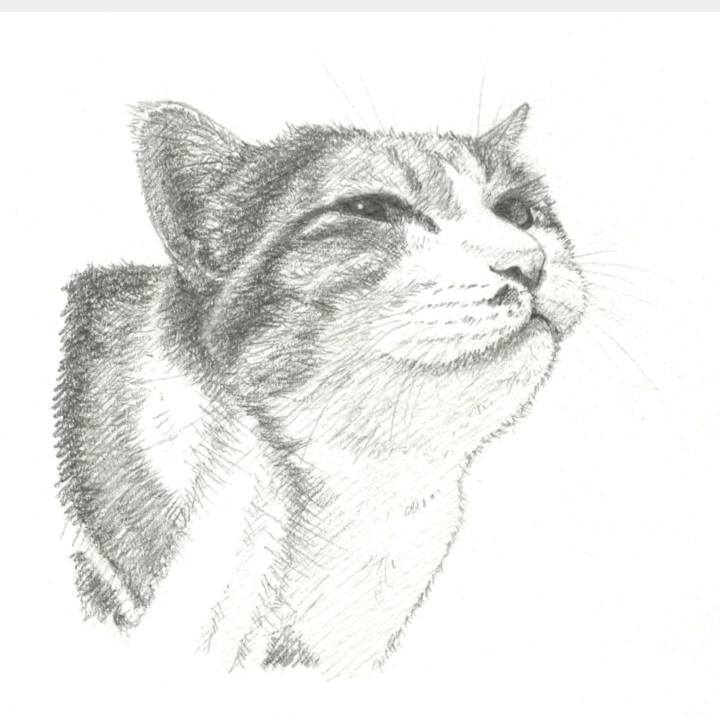 19d64169 ffa7 439e adc6 3a77298061dd 1544098261696