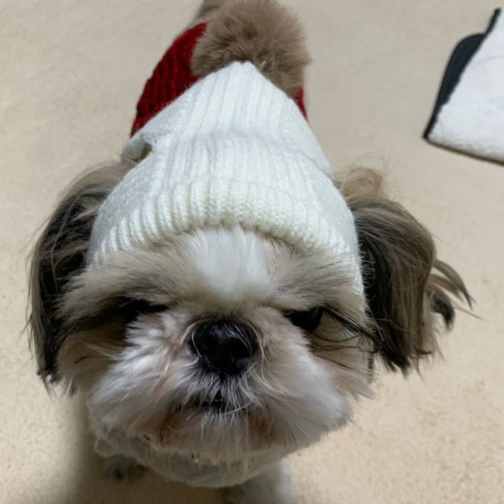 19d66e41 5dbe 4b49 9e1a 939cfc45fcca 1702474937451