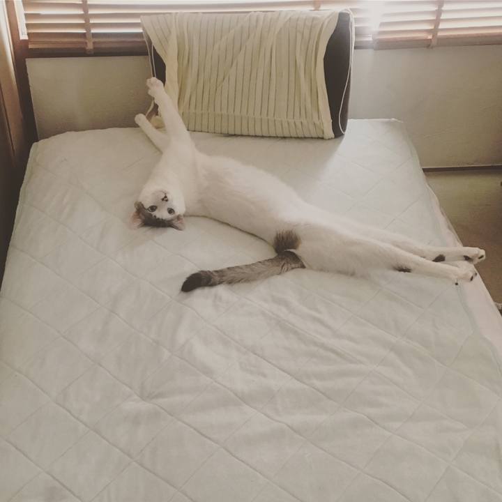 19d679d7 1972 4fae 8d58 396370446aad 1560488841646