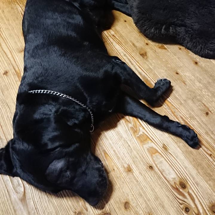 19d692f2 2148 4463 8b19 15ef6462e9c0 1673681742880