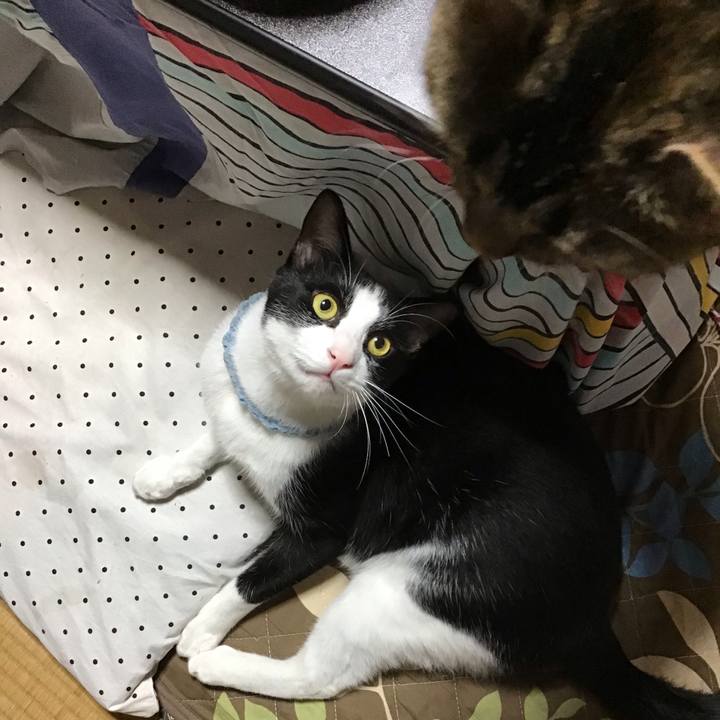 19d6ae14 61f9 4777 8f97 c914c451ba22 1665488990076