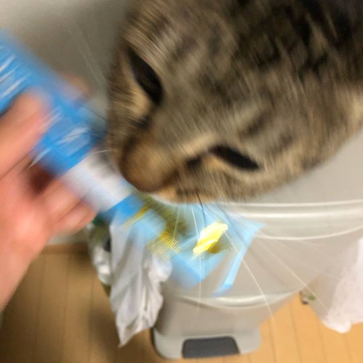 19d7032a 836f 46cf a34d e54f37fbe179 1602861285344