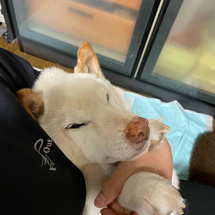 19d7164a a9a5 4c86 95c9 be49dfde6162 1636352037464