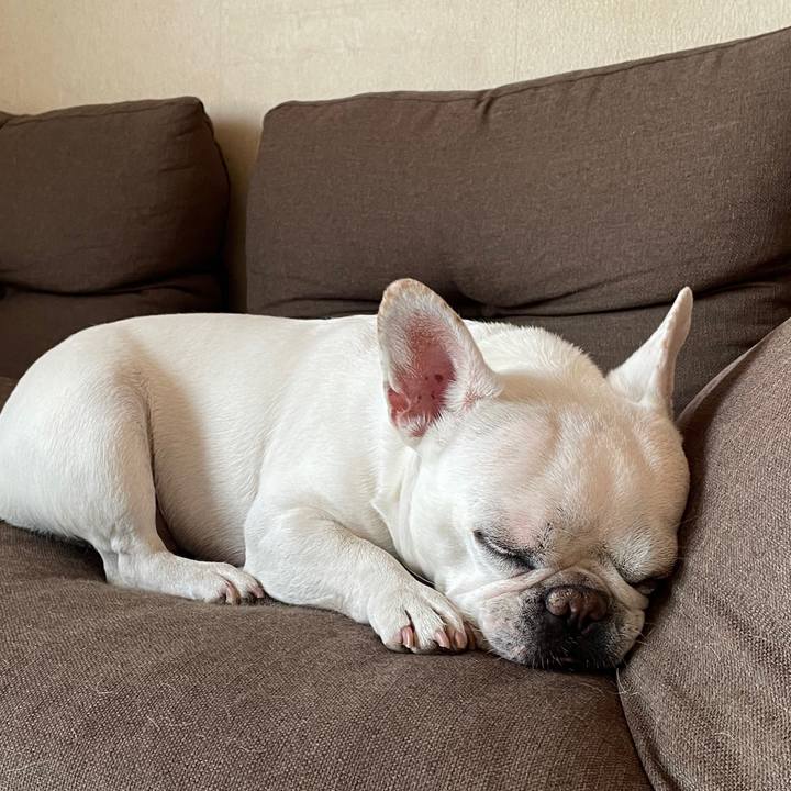 19d71e98 42e3 4c03 a551 0d4a764a5f47 1747120894554