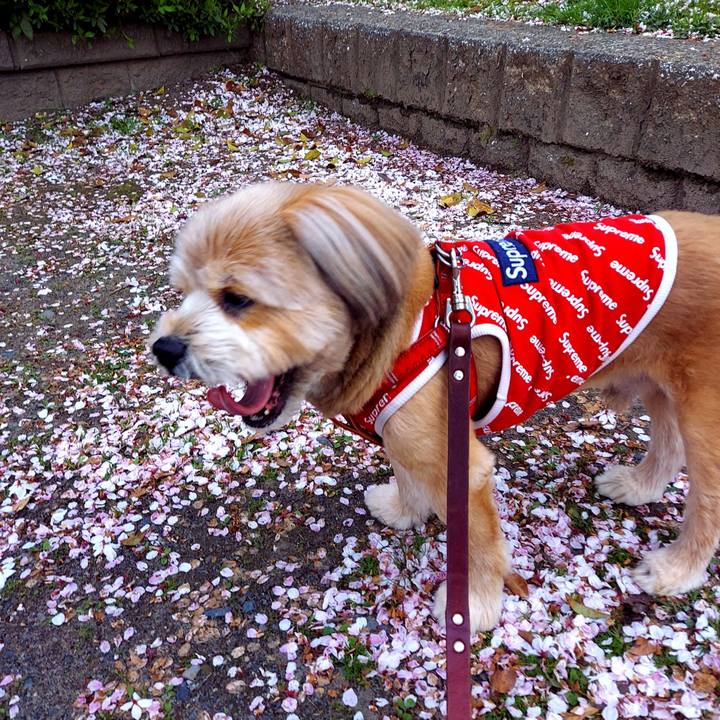 19d72a65 f95d 4cb7 bcd6 cf9559f113b8 1617275818775