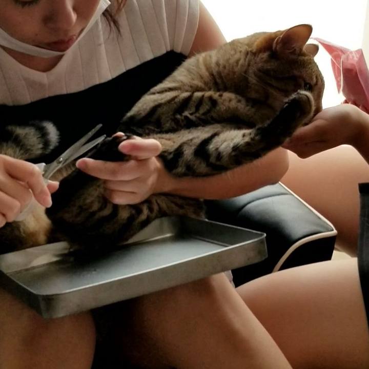 19d7323c ab35 4c11 8b97 2f18d8c4643d 1627168500552