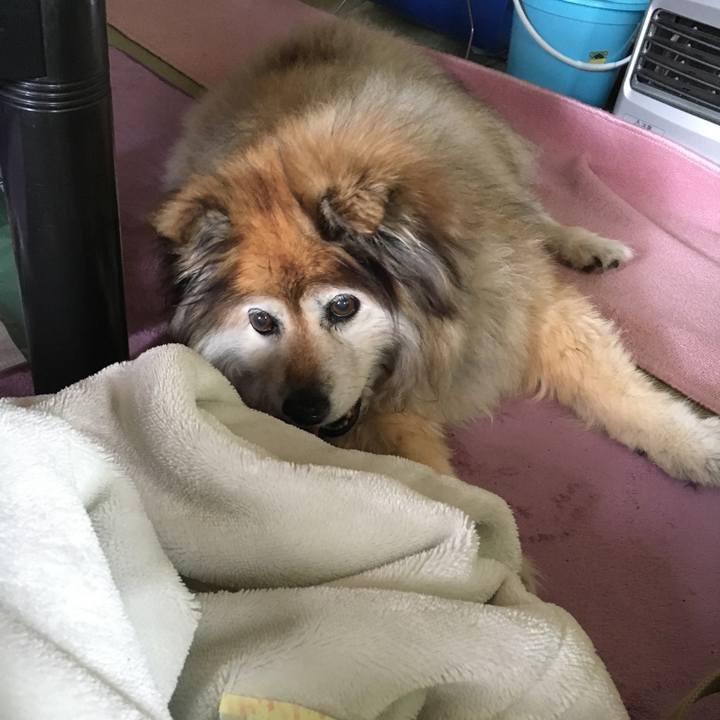 19d74f29 914e 4a06 a283 d0df9376071b 1578379020723