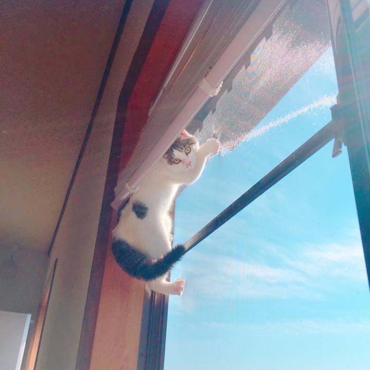 19d7a5d5 e236 40d6 9736 c13b2a084ef8 1526970271224