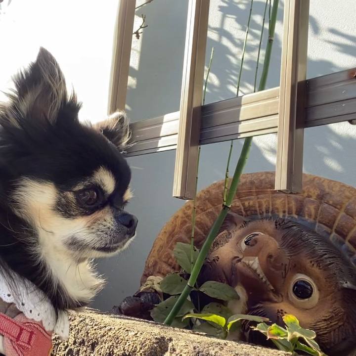 19d7bf30 d723 49e2 a4a2 6d15da371885 1636762812780