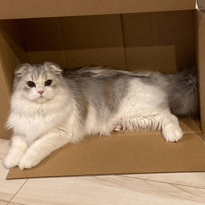 19d7c7d7 5922 4f39 a567 9b95bec45e29 1609076741310