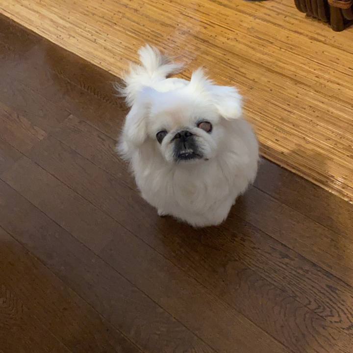 19d7ed62 cad5 46b7 a9c0 586a7c13fd63 1673806899915