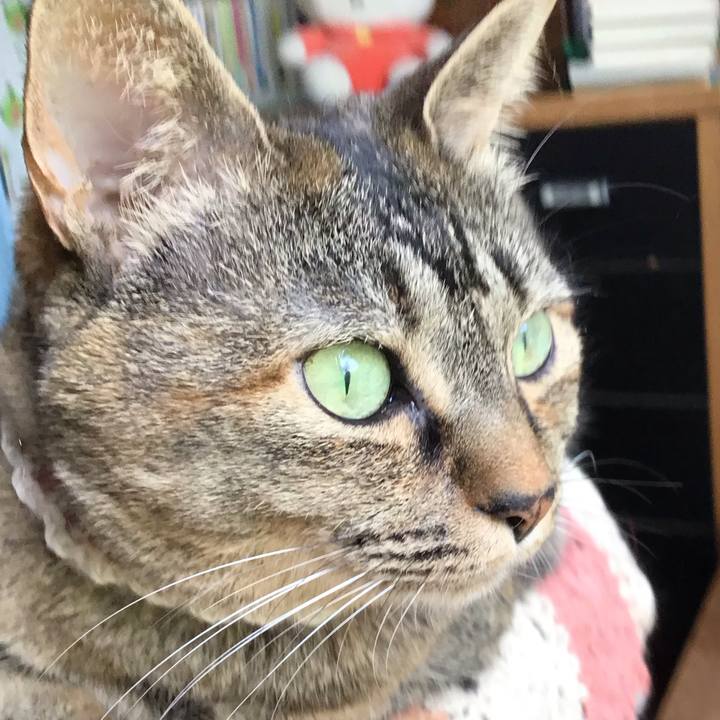 19d7fc73 de34 42b5 bc4a 0516afd23553 1715489459618