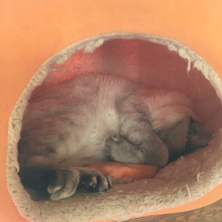 19d83062 a1b9 49d5 94c2 4035a53d6ae5 1537672223525