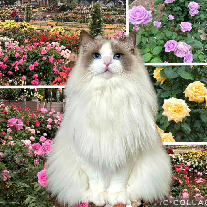 19d88ec9 d85a 459d a68e 6077b78cfc90 1652697240129