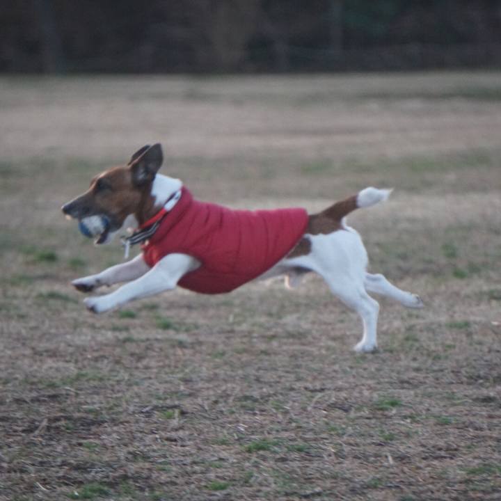 19d91906 8766 4074 b638 47aa675024d0 1549580059451