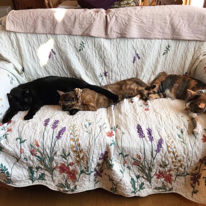 19d92baf ba44 46fe 94d7 a8618da6a8d7 1648783792349