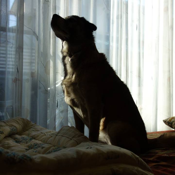 19d980e6 8fef 4d52 a7ac f9058383710f 1618272367851