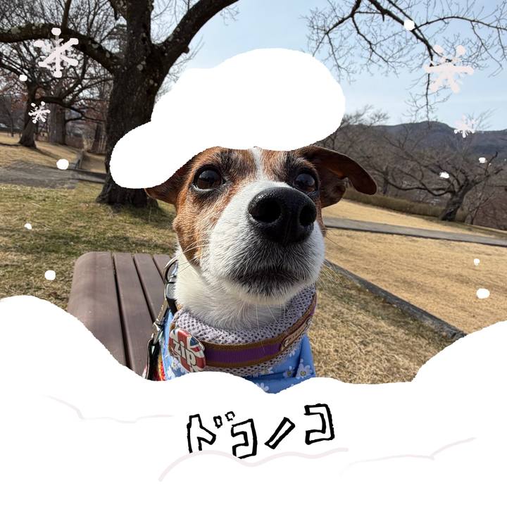 19d9ae25 bdaa 445e 852c a746de37945f 1772496272151