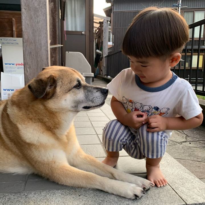 19d9c543 ec72 4b9d 9ab5 2349fdca5be9 1596970817230