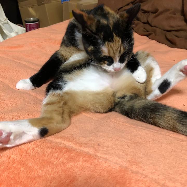 19da2d06 fb8c 4112 9e54 4e4f5191f497 1557229585881