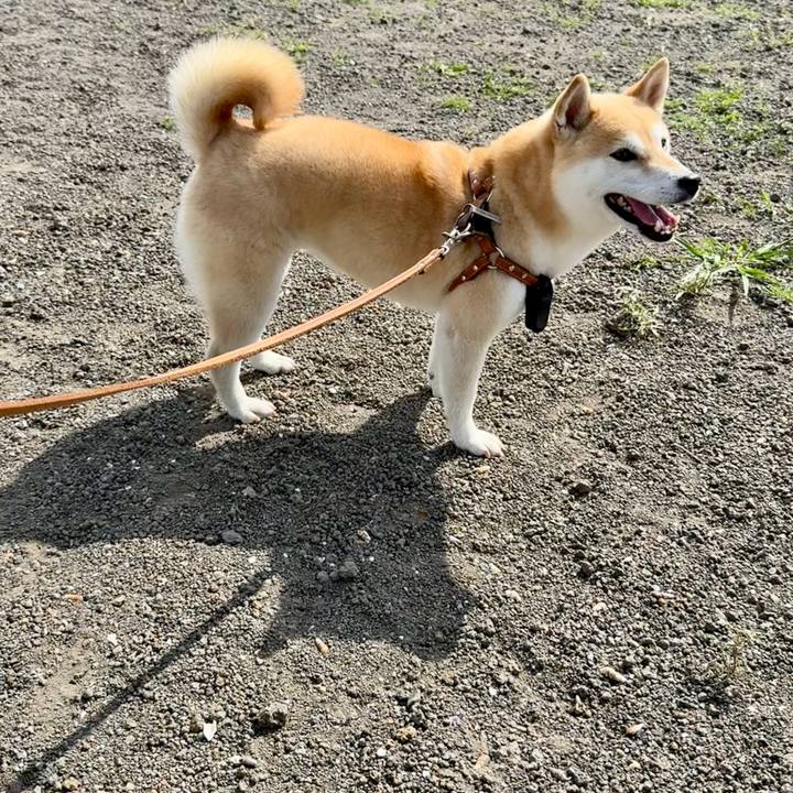 19da5089 3b2e 42ef 9841 b3d85205e8de 1761272883097