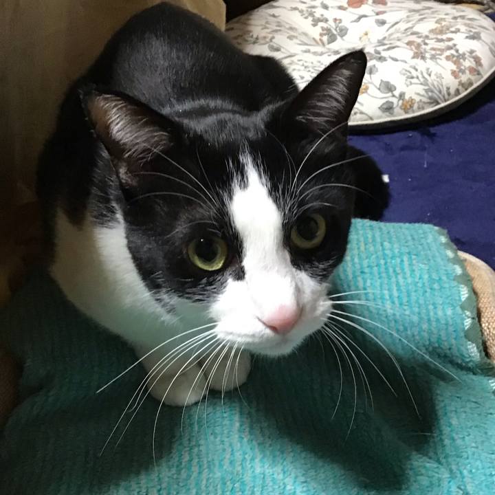 19da51f5 5401 4c9f b9ef d82acef106a8 1739006070539