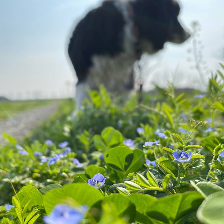 19da63ee 52e2 4760 be12 1acad9981309 1678583915792