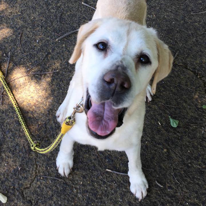 19da7894 951c 43ba 8c96 85b8f0b7833c 1564140774324