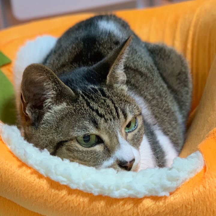 19da87db a6a8 4164 9a89 7ccdd81929db 1546731868368