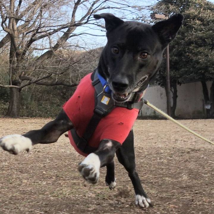 19daac12 87f9 495f 92a3 8351e15e1937 1643333759331