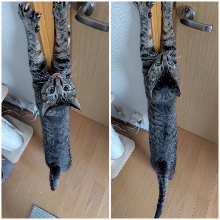 19dab756 9a49 4a3a 8a33 41a85900834a 1748923508852