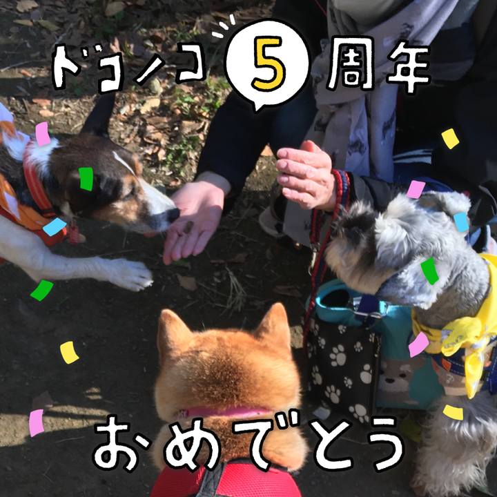 19daf7e2 0efb 41a7 b495 aa9f143eb470 1622943796669