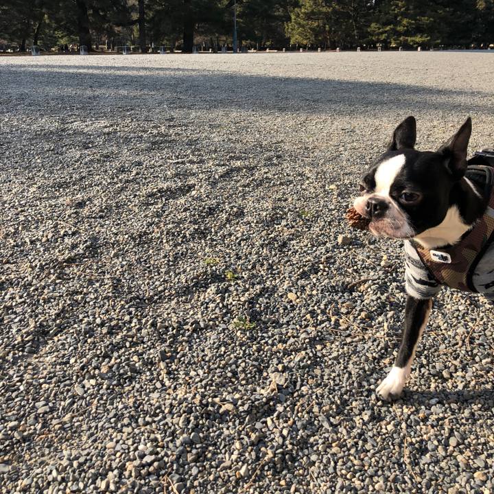 19db06cb 252a 4c3b 8907 55ea7feaf7af 1519717851174