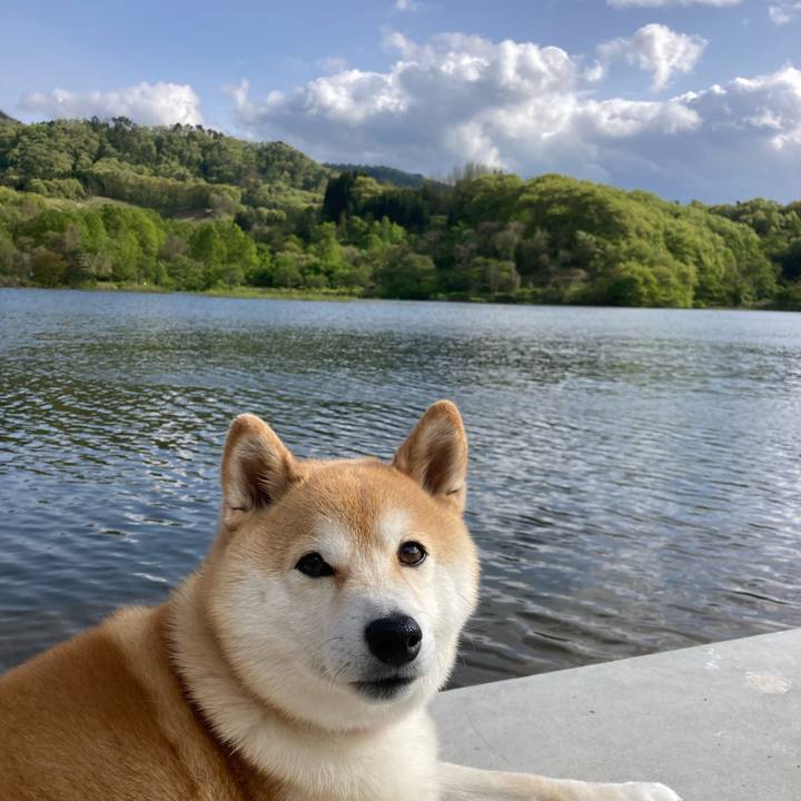 19db799b 9071 4b34 bb70 dc166b5b47c1 1746600800604