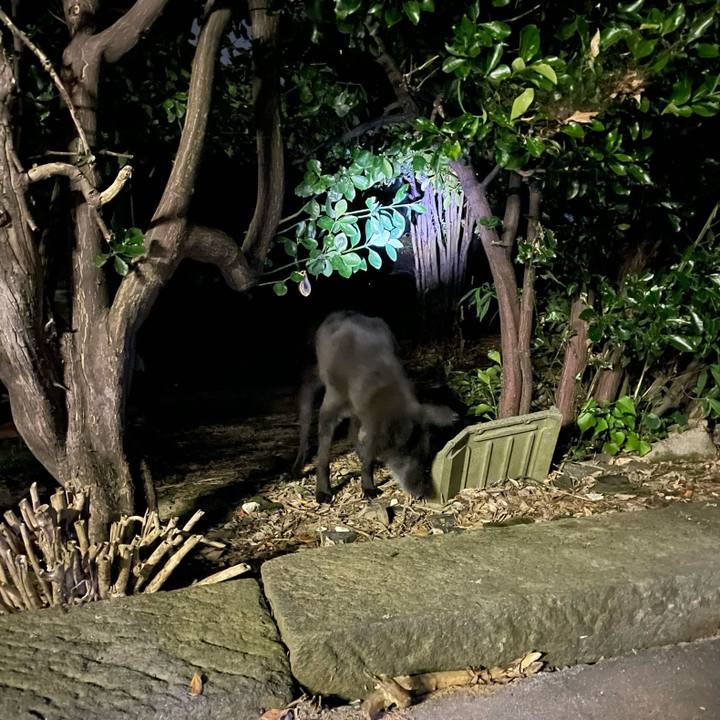 19db9754 08a2 44ff bb18 5fc2fc9cdeaa 1718373521000