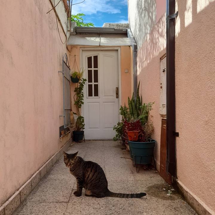 19dba18d 0daf 400e b76a d698809120ba 1771120722542