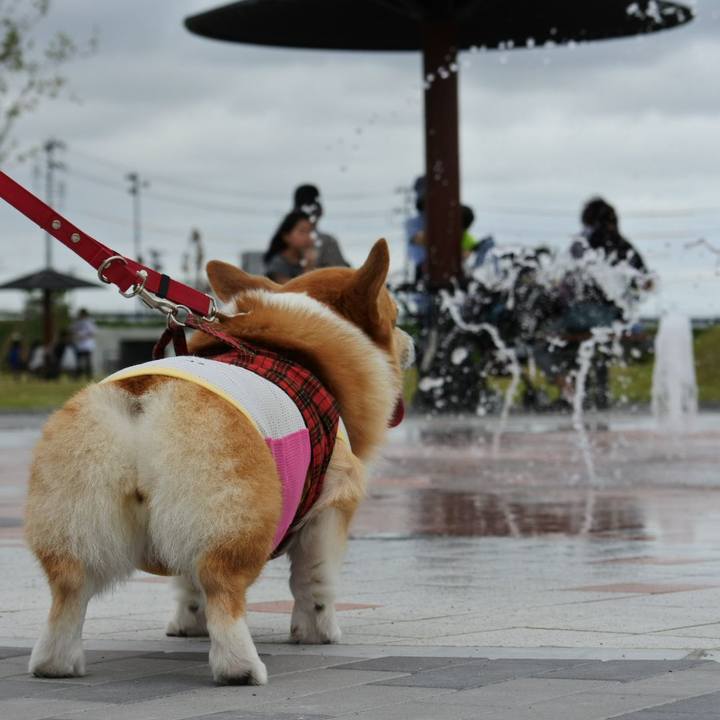 19dbec47 670f 4c1c af4b 87a779fefe07 1568460319530