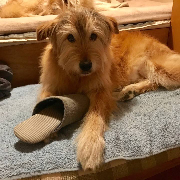 19dbef76 fdd2 45f0 a647 e9571b24a613 1615615185762