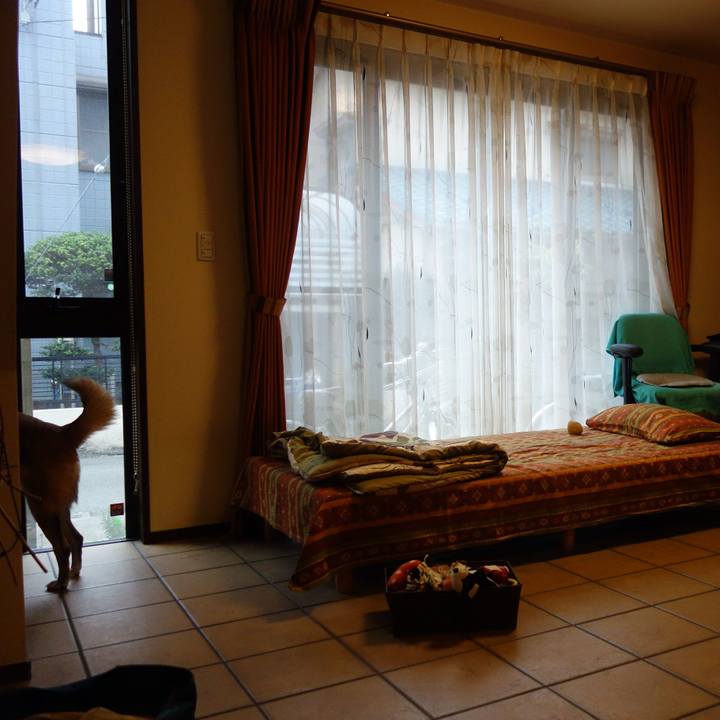 19dc0e7f 33a9 4d8d 9e8a 006e84bd322d 1542547108602