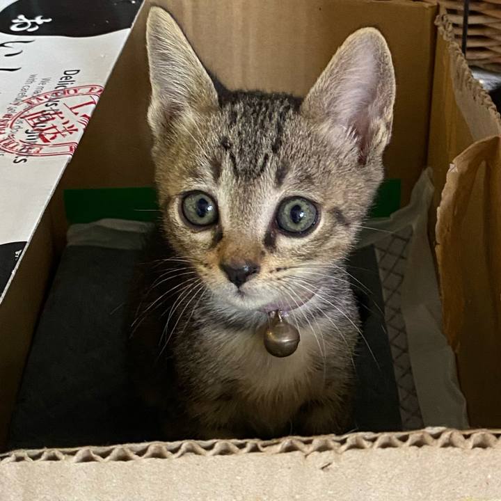 19dc1ddd ae77 4d32 bb17 1a77dbba9c2c 1719995092615