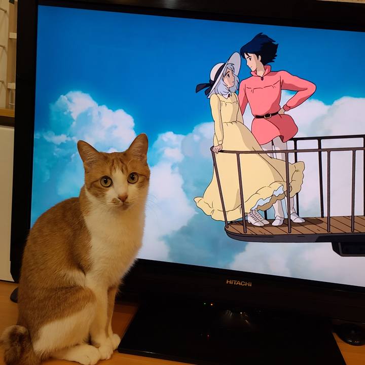 19dc1ed9 4543 4969 9401 9732b57ec48f 1617373450246