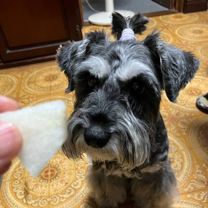 19dc4909 3bed 4036 b8bd 5f4962177024 1725116253140