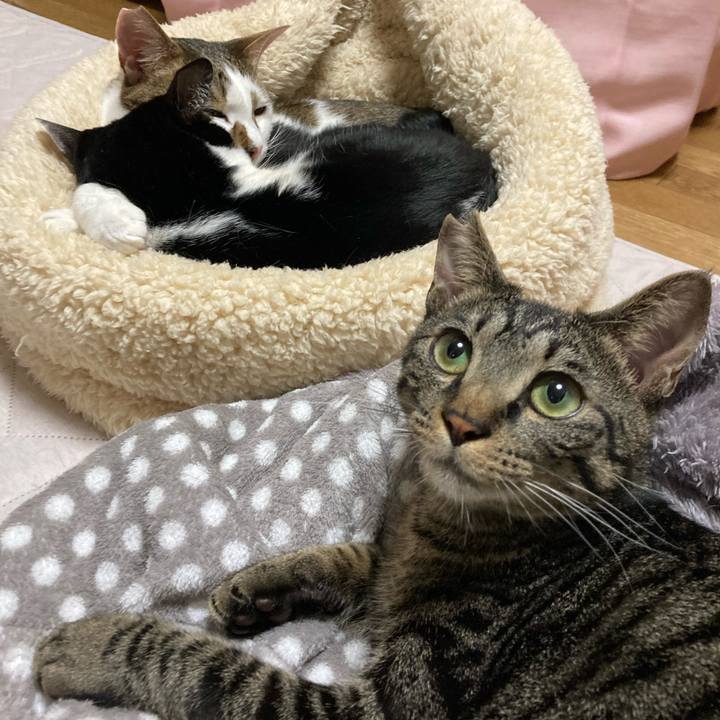 19dc5675 bb8f 4aa4 abc1 718392a3c96e 1617836809249