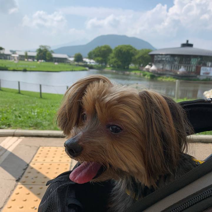 19dc7da1 1d2b 4fc3 b9f8 bd5ff3f5b19d 1564664966465