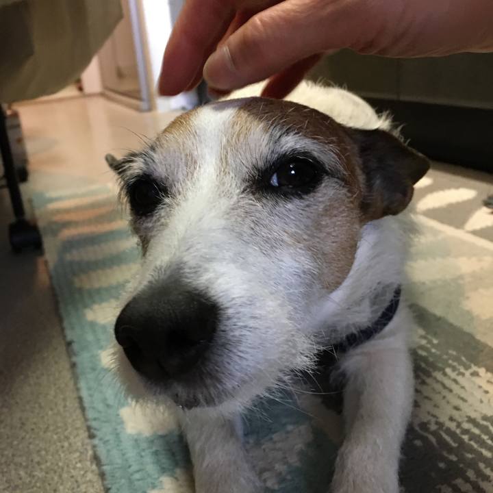 19dc84ed 4bac 4a2c ac06 8cb34d05af05 1646956317673